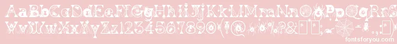 KingthingsWidow Font – White Fonts on Pink Background