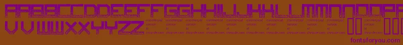 Digitaldisorder Font – Purple Fonts on Brown Background
