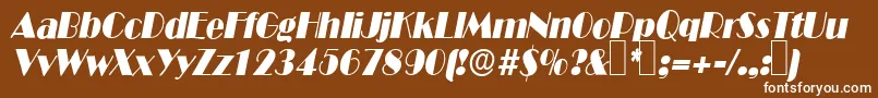 フォントB821DecoItalic – 茶色の背景に白い文字