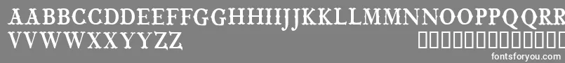 CfwildwestpersonalRegular-fontti – valkoiset fontit harmaalla taustalla