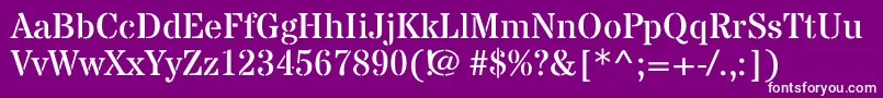 StardosstencilRegular Font – White Fonts on Purple Background