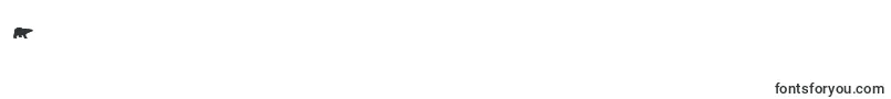 Collateraldamage Font – Fonts for Digit 4