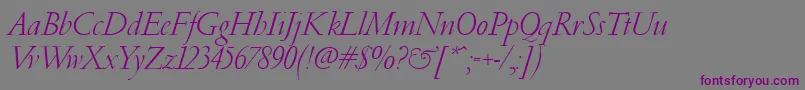 フォントPfgaramondClassicItalic – 紫色のフォント、灰色の背景