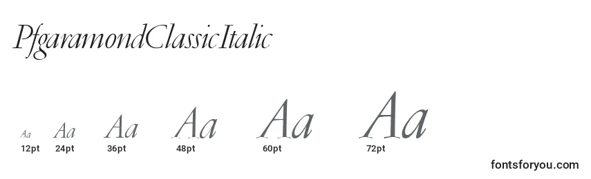 Размеры шрифта PfgaramondClassicItalic