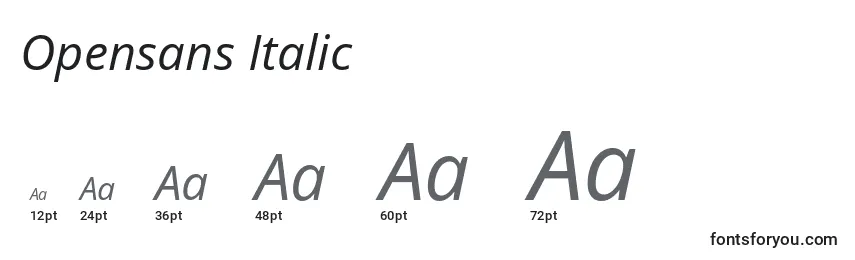 Размеры шрифта Opensans Italic