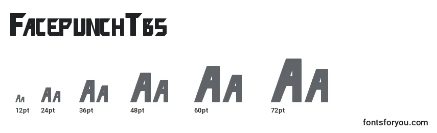 FacepunchTbs Font Sizes