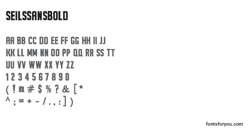 Czcionka SeilsSansBold – alfabet, cyfry, specjalne znaki