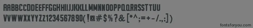 SeilsSansBold Font – Black Fonts on Gray Background