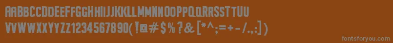SeilsSansBold Font – Gray Fonts on Brown Background