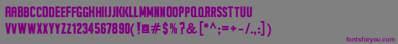 SeilsSansBold Font – Purple Fonts on Gray Background