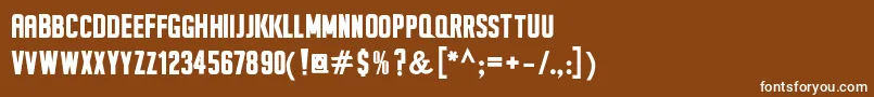 SeilsSansBold Font – White Fonts on Brown Background