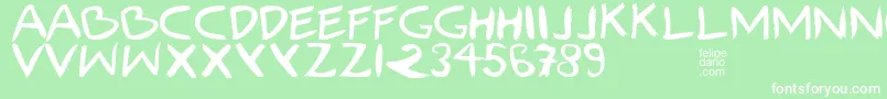 FdIlhoscript Font – White Fonts on Green Background