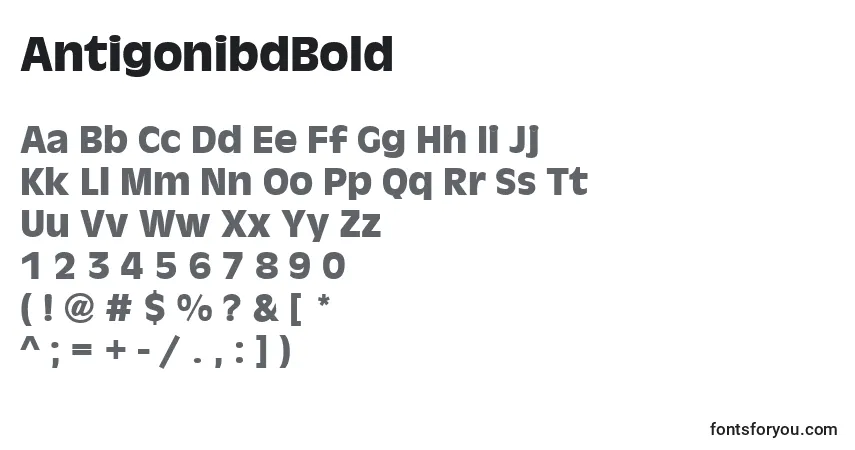 AntigonibdBold font – alphabet, numbers, special characters