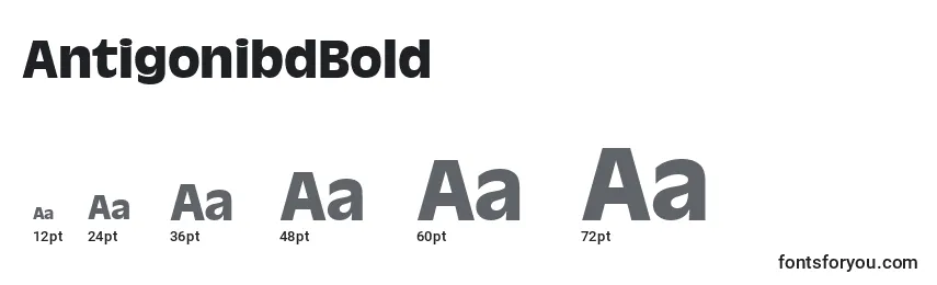AntigonibdBold font sizes
