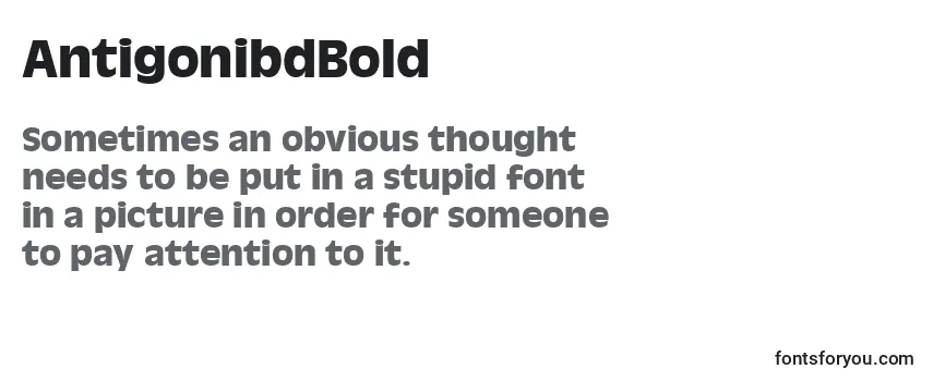 AntigonibdBold Font