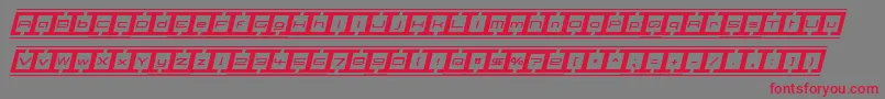 BorderbaseItalic Font – Red Fonts on Gray Background