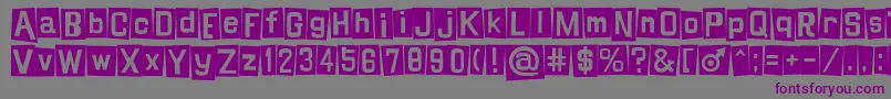 Шрифт Shinji – фиолетовые шрифты на сером фоне