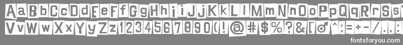 Шрифт Shinji – белые шрифты на сером фоне