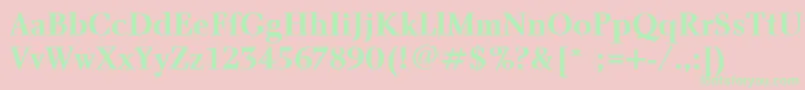 CharlotteBoldPlain Font – Green Fonts on Pink Background