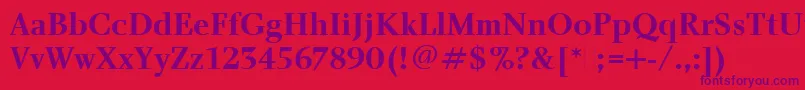 CharlotteBoldPlain Font – Purple Fonts on Red Background