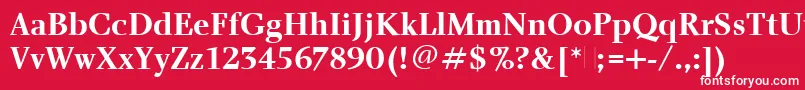 フォントCharlotteBoldPlain – 赤い背景に白い文字