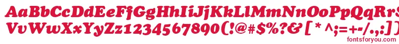 Czcionka AgCooperItalic – czerwone czcionki