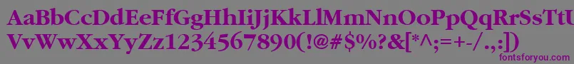 Шрифт GaramondBoldBold – фиолетовые шрифты на сером фоне