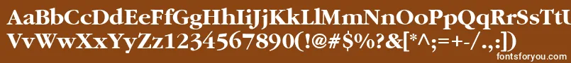 Czcionka GaramondBoldBold – białe czcionki na brązowym tle