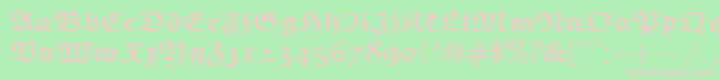 EuclidFrakturBold Font – Pink Fonts on Green Background