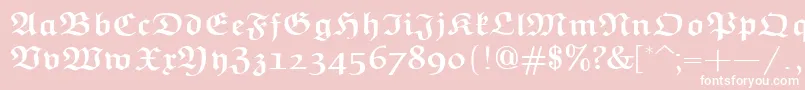 フォントEuclidFrakturBold – ピンクの背景に白い文字