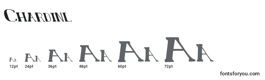 Размеры шрифта Chardinl