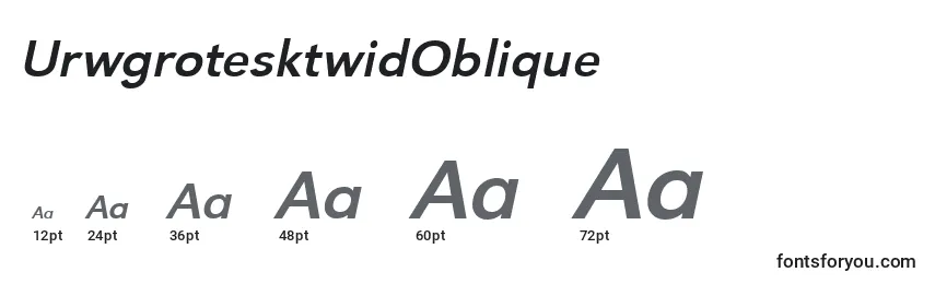 Размеры шрифта UrwgrotesktwidOblique