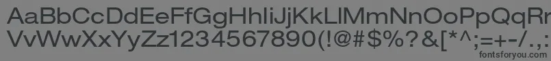HelveticaneueltstdEx Font – Black Fonts on Gray Background