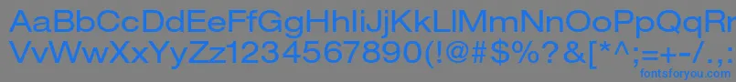 HelveticaneueltstdEx Font – Blue Fonts on Gray Background