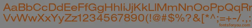 HelveticaneueltstdEx Font – Brown Fonts on Gray Background