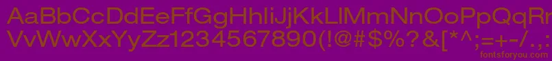 HelveticaneueltstdEx Font – Brown Fonts on Purple Background