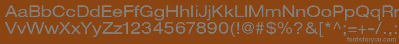 Шрифт HelveticaneueltstdEx – серые шрифты на коричневом фоне