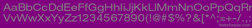 HelveticaneueltstdEx Font – Gray Fonts on Purple Background