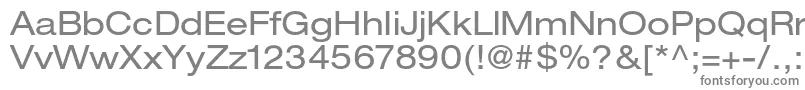 HelveticaneueltstdEx Font – Gray Fonts on White Background