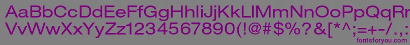Czcionka HelveticaneueltstdEx – fioletowe czcionki na szarym tle