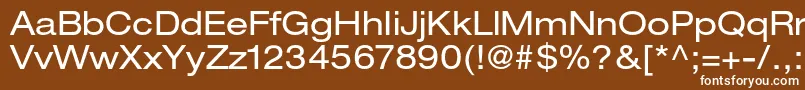 HelveticaneueltstdEx Font – White Fonts on Brown Background