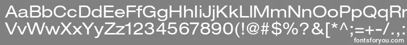HelveticaneueltstdEx Font – White Fonts on Gray Background