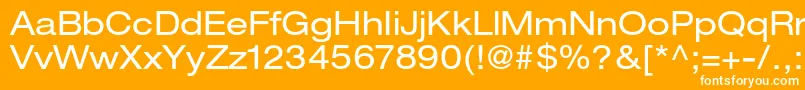 HelveticaneueltstdEx Font – White Fonts on Orange Background