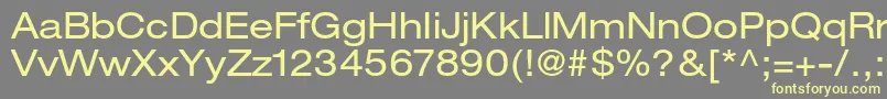 HelveticaneueltstdEx Font – Yellow Fonts on Gray Background