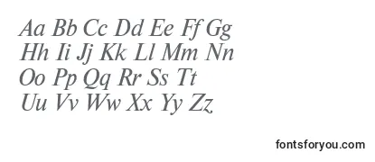 NewtonkoicttItalic Font