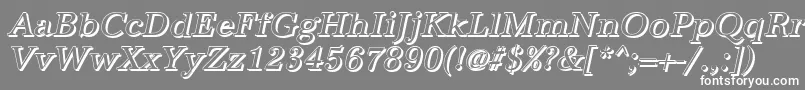AntiquashItalic Font – White Fonts on Gray Background