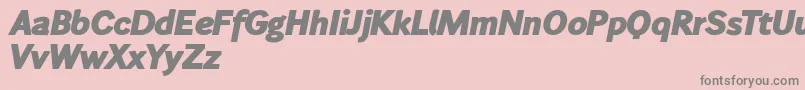 Wendelinfettkursiv Font – Gray Fonts on Pink Background