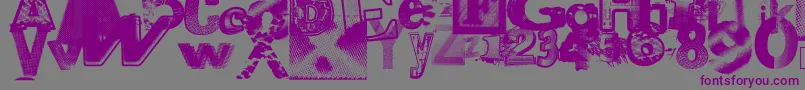 Шрифт Xerographerfonts – фиолетовые шрифты на сером фоне