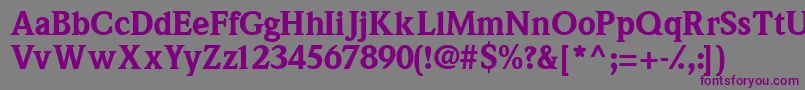 Quintessenceblackssk Font – Purple Fonts on Gray Background