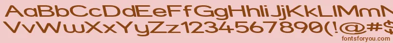 StreetExpandedReverseItalic Font – Brown Fonts on Pink Background